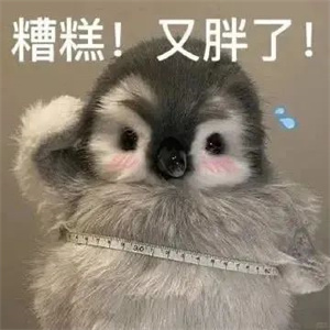 微信图片_20250313103400.jpg