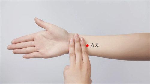 微信图片_20250324162320.jpg