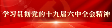 学习贯彻党的十九届六中全会精神