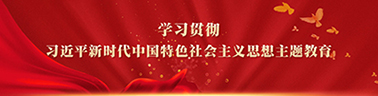 学习贯彻习近平新时代中国特色社会主义思想主题教育